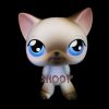 LPS 5 BIS