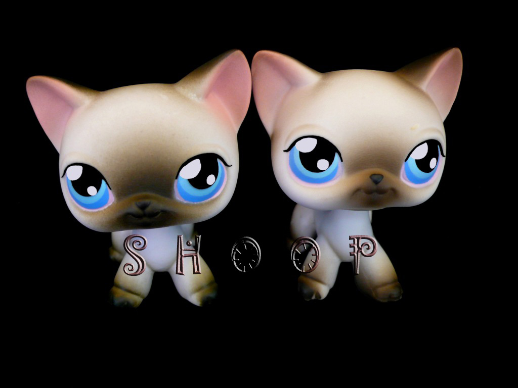 LPS 5 | 5 BIS