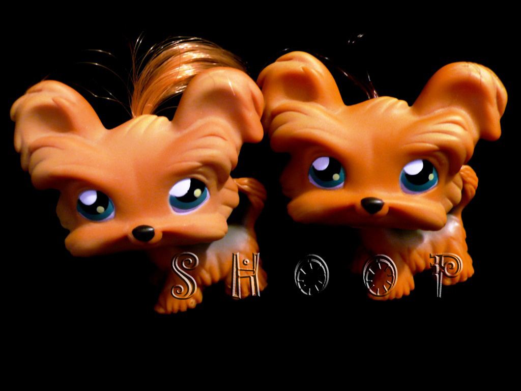 LPS 6 | 6 BIS