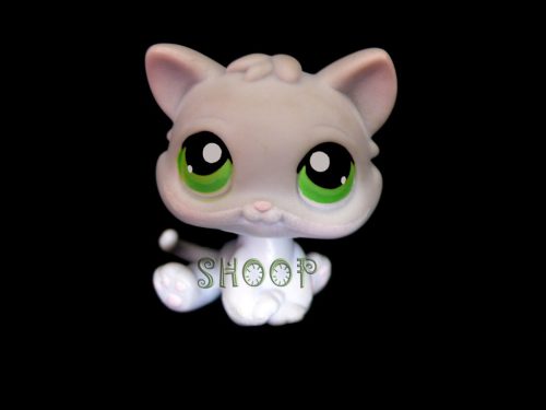 LPS 88