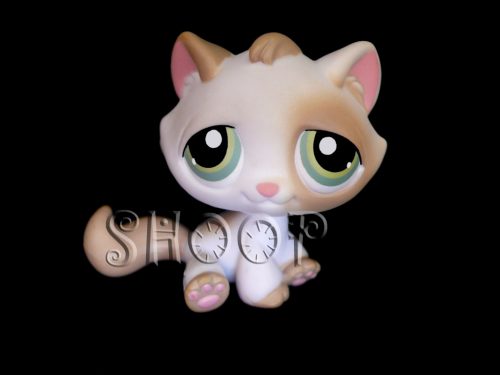 LPS 197