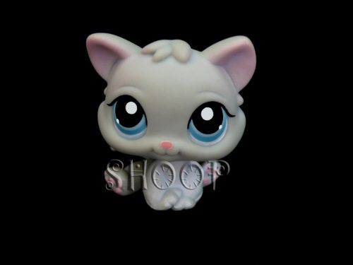 LPS 198
