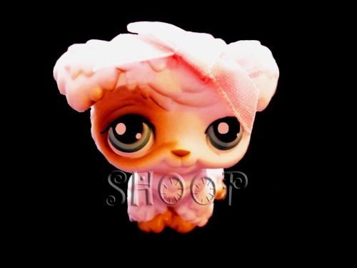 LPS 204