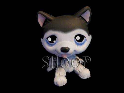 LPS 210
