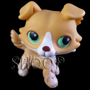 LPS 272