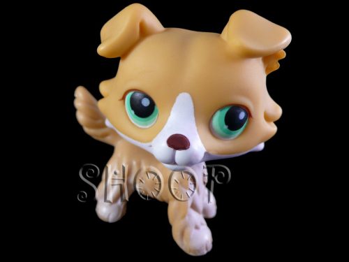 LPS 272
