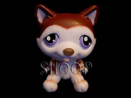 LPS 427