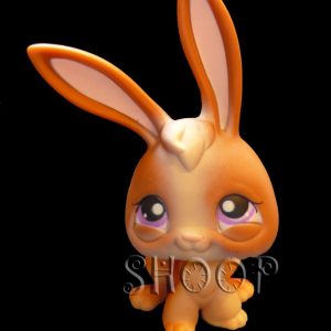 LPS 434