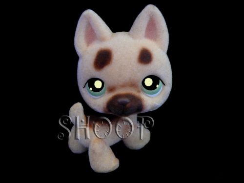 LPS 443
