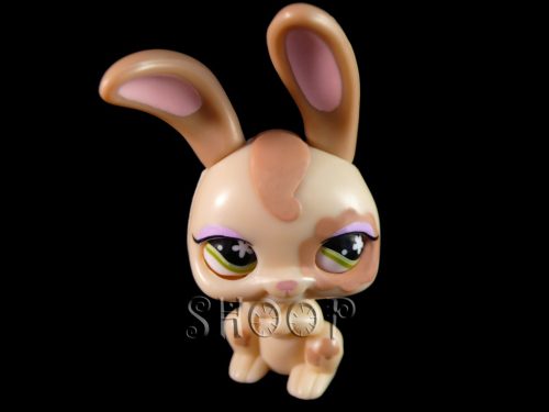 LPS 488