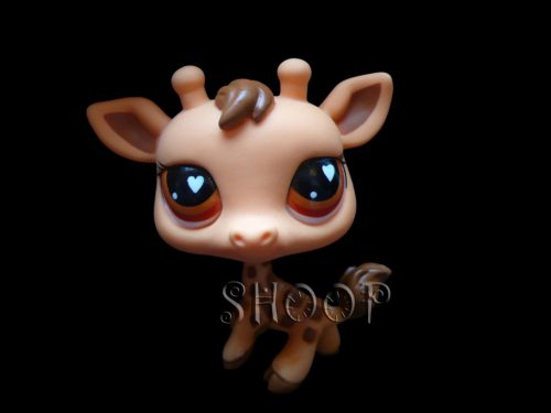 LPS 526