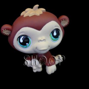LPS 529