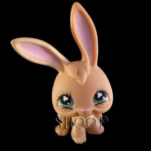 LPS 531