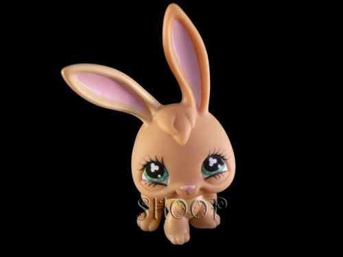 LPS 531