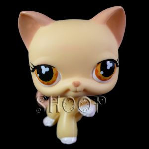 LPS 533