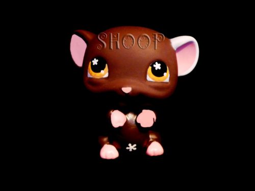 LPS 538