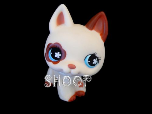 LPS 544