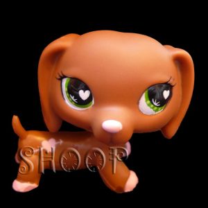 LPS 556