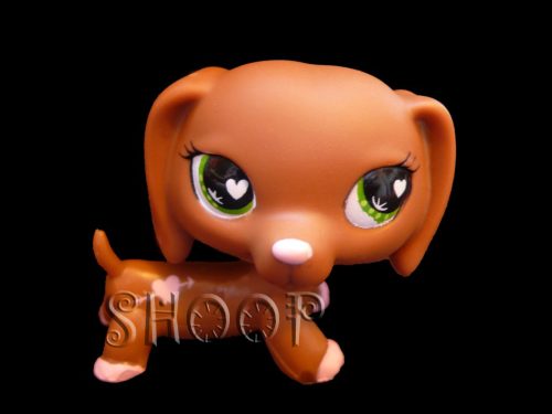 LPS 556