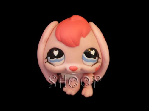 LPS 557