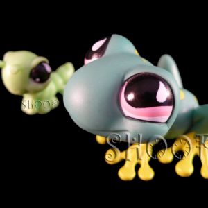 LPS 562