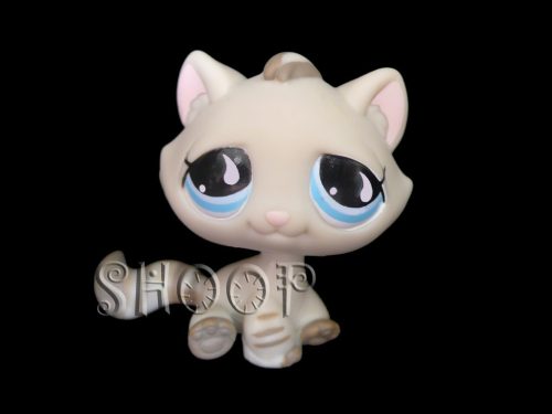 LPS 563