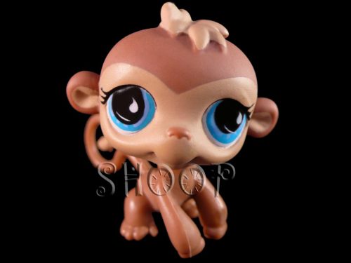 LPS 564