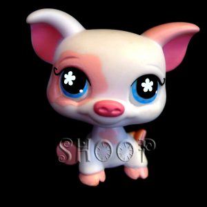 LPS 572
