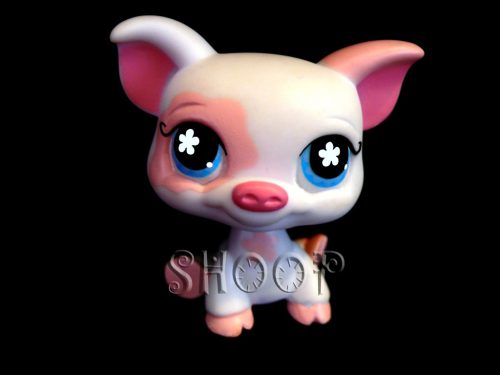 LPS 572