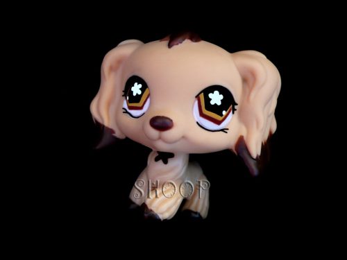 LPS 575