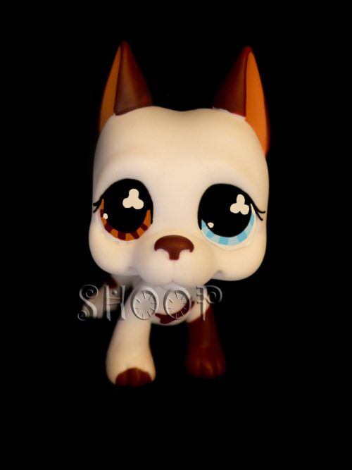 LPS 577
