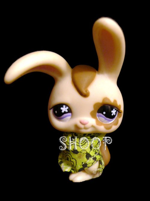 LPS 582