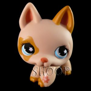 LPS 604