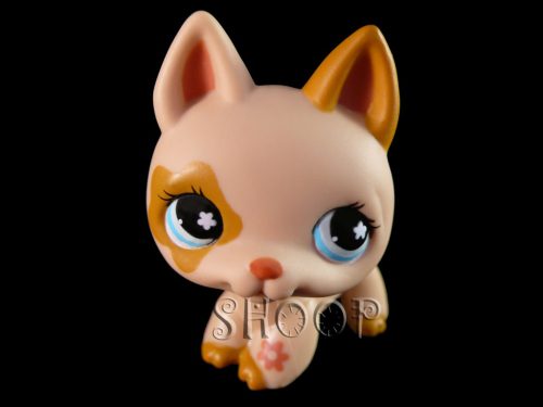 LPS 604