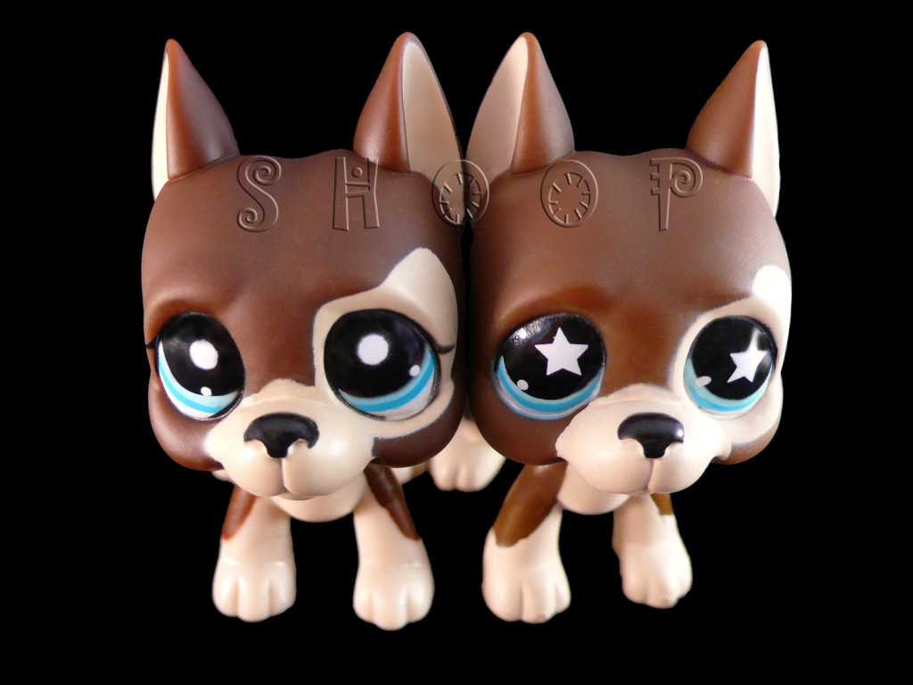 LPS 817 BIS | 817