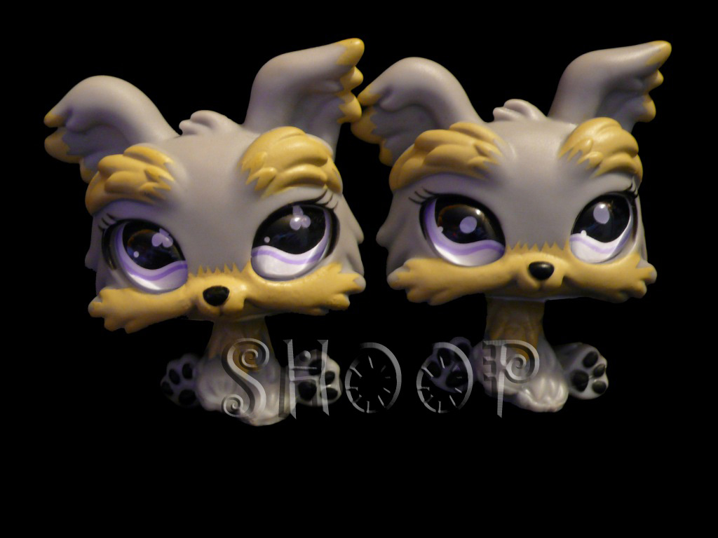 LPS 883 | 883 BIS