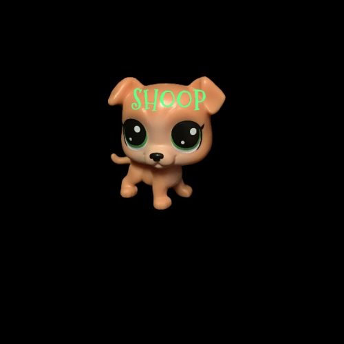 LPS 1-122