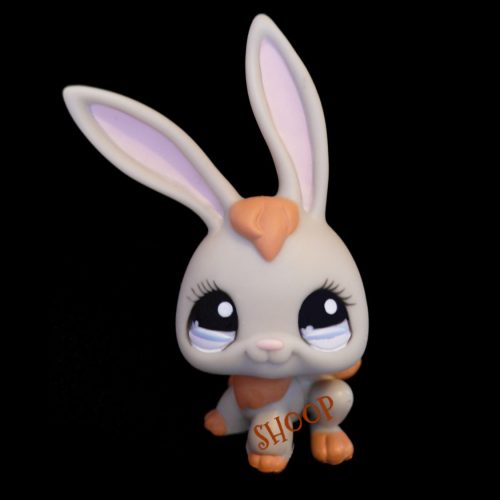 LPS 1036