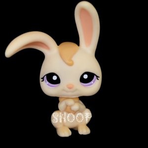 LPS 1107