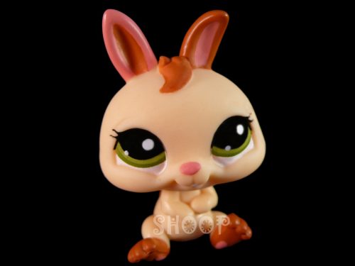 LPS 1596