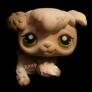 LPS 203