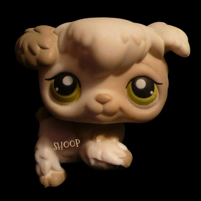 LPS 203