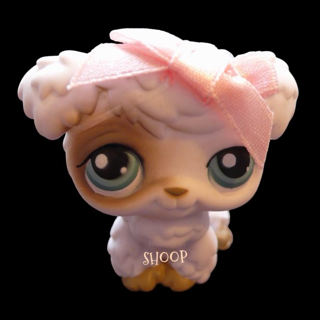 LPS 204