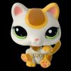 LPS 2108