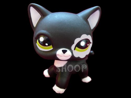 LPS 2249