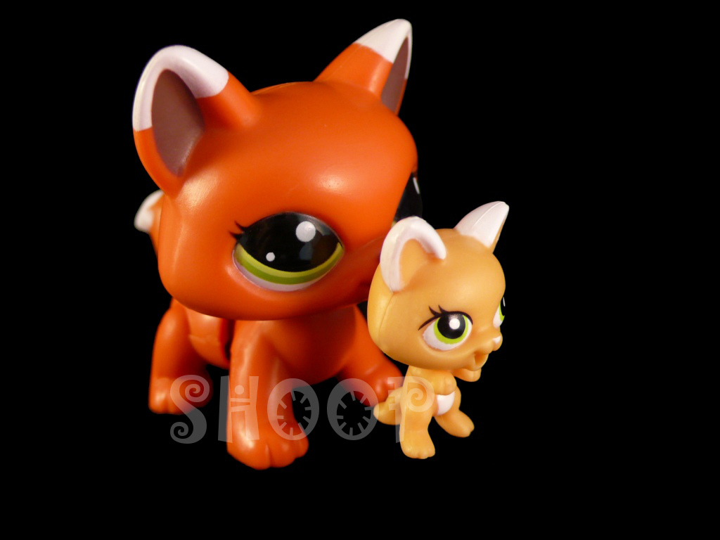 LPS 2491 | 2492