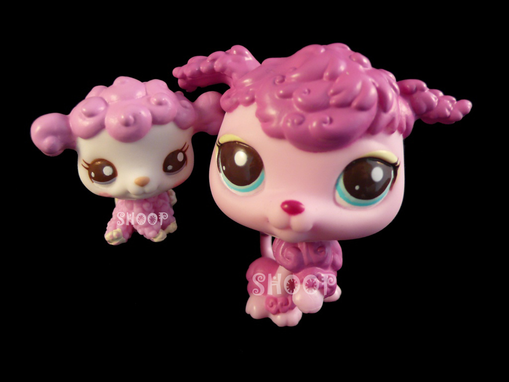 LPS 2498 | 2497