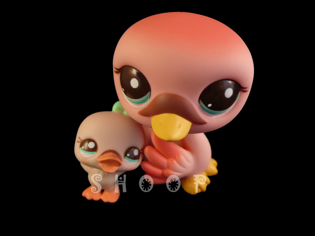 LPS 2504 | 2503
