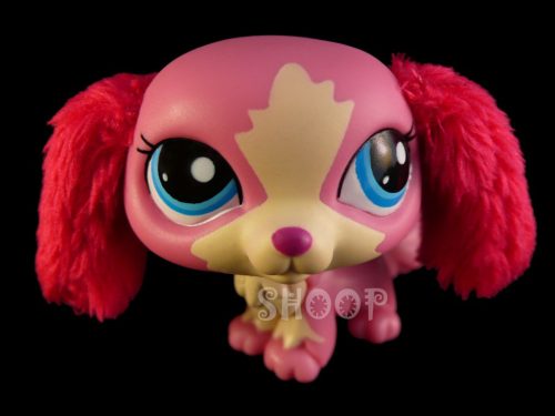 LPS 2508
