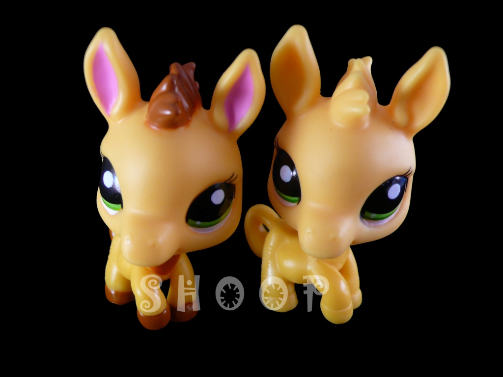 LPS 2588 | 2588 BIS